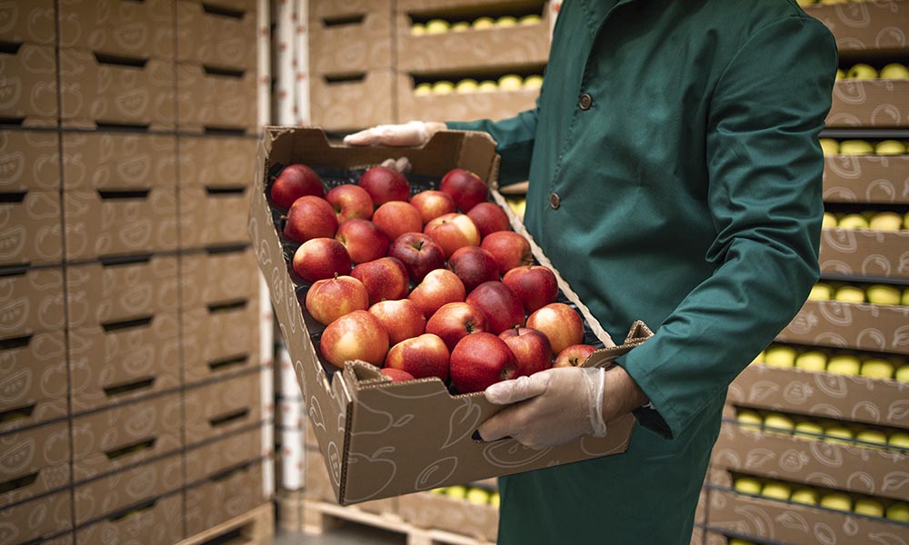 Perishable Shipping