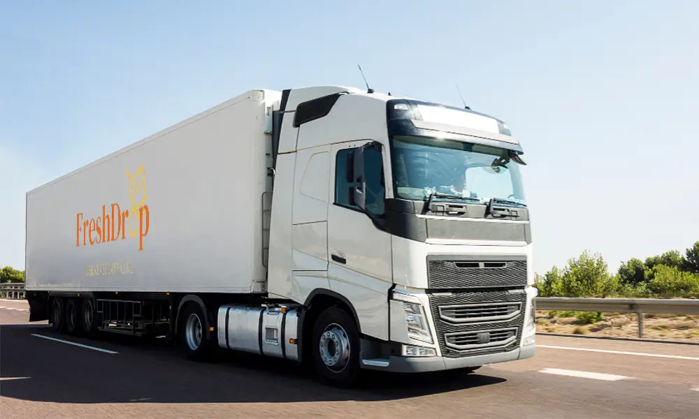 FreshDrop frozen delivery